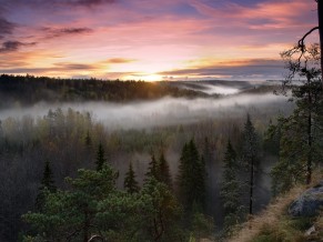 Foggy Sunrise National Park