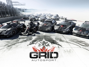 GRID Autosport Game