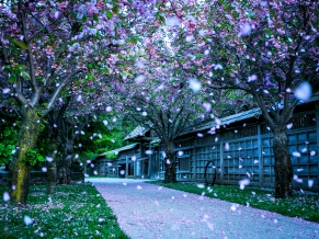 Mississauga Kariya Park Canada