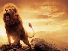 Narnia Lion Aslan