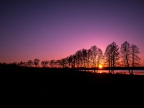 Sunset Silhouette