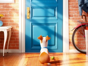 The Secret Life of Pets Movie