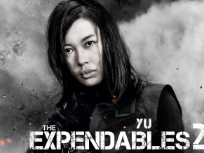 Yu Nan in The Expendables 2