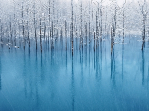 Snow Pond