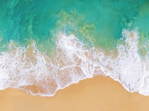 Beach Aerial View 4K