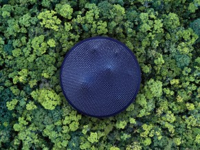 Forest Aerial View 4K