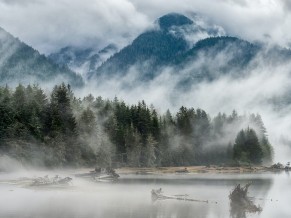 Mist Mountain Trees River 4K HD