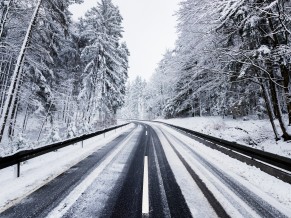 Winter Forest Road 4K