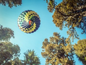 Ballon Ride Over Forest 4K