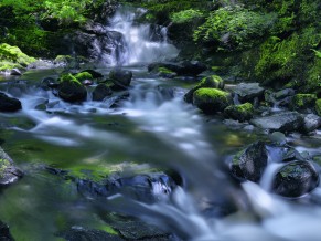 Kirkton Glen Waterfall Stream 5K