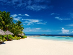 Tropical Maldives Beach 4K