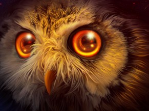 Mystic Owl 4K