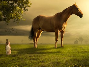 Girl Horse Lscape 4K