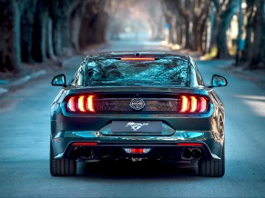 Ford Mustang Bullitt 2019 5K
