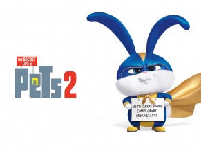 Snowball in The Secret Life of Pets 2 4K 5K