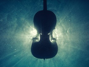 Wooden Cello Underwater 5K