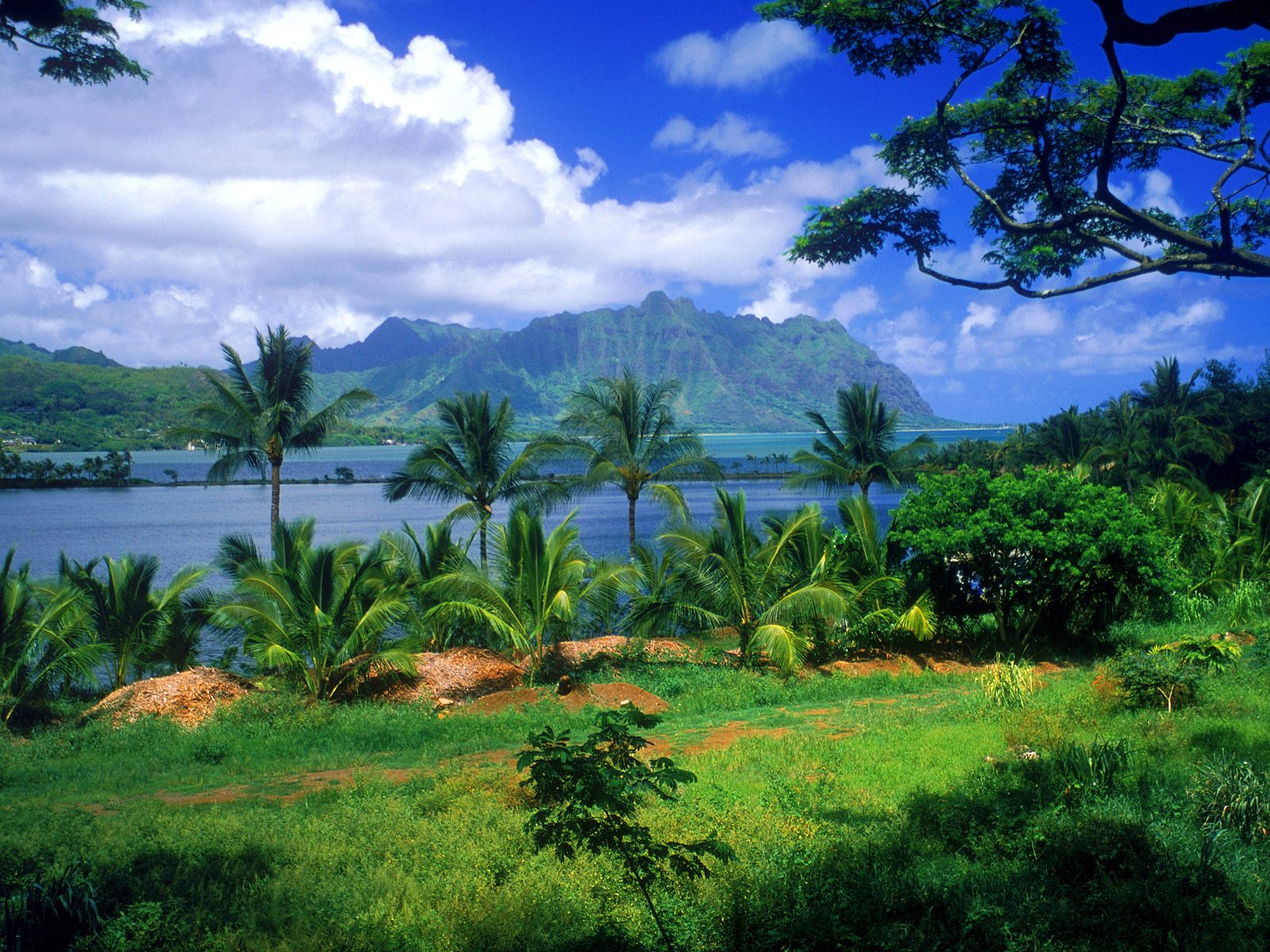 Kaneohe Fish Pond Hawaii, Wallpaper HD, Picture HD, Image HD, HD wallpaper....