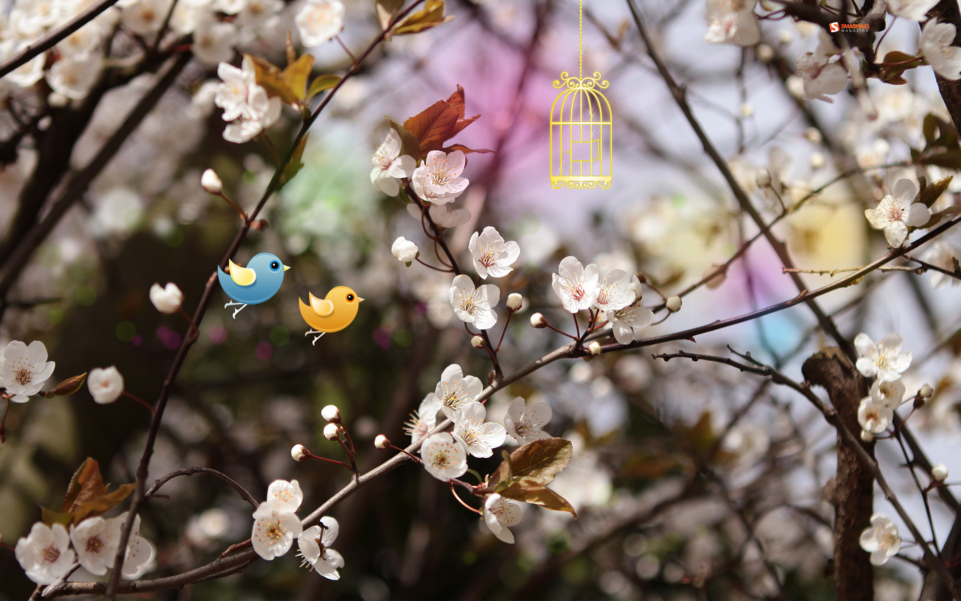 Welcome Spring, Wallpaper HD, Picture HD, Image HD, HD wallpaper. pokemon g...