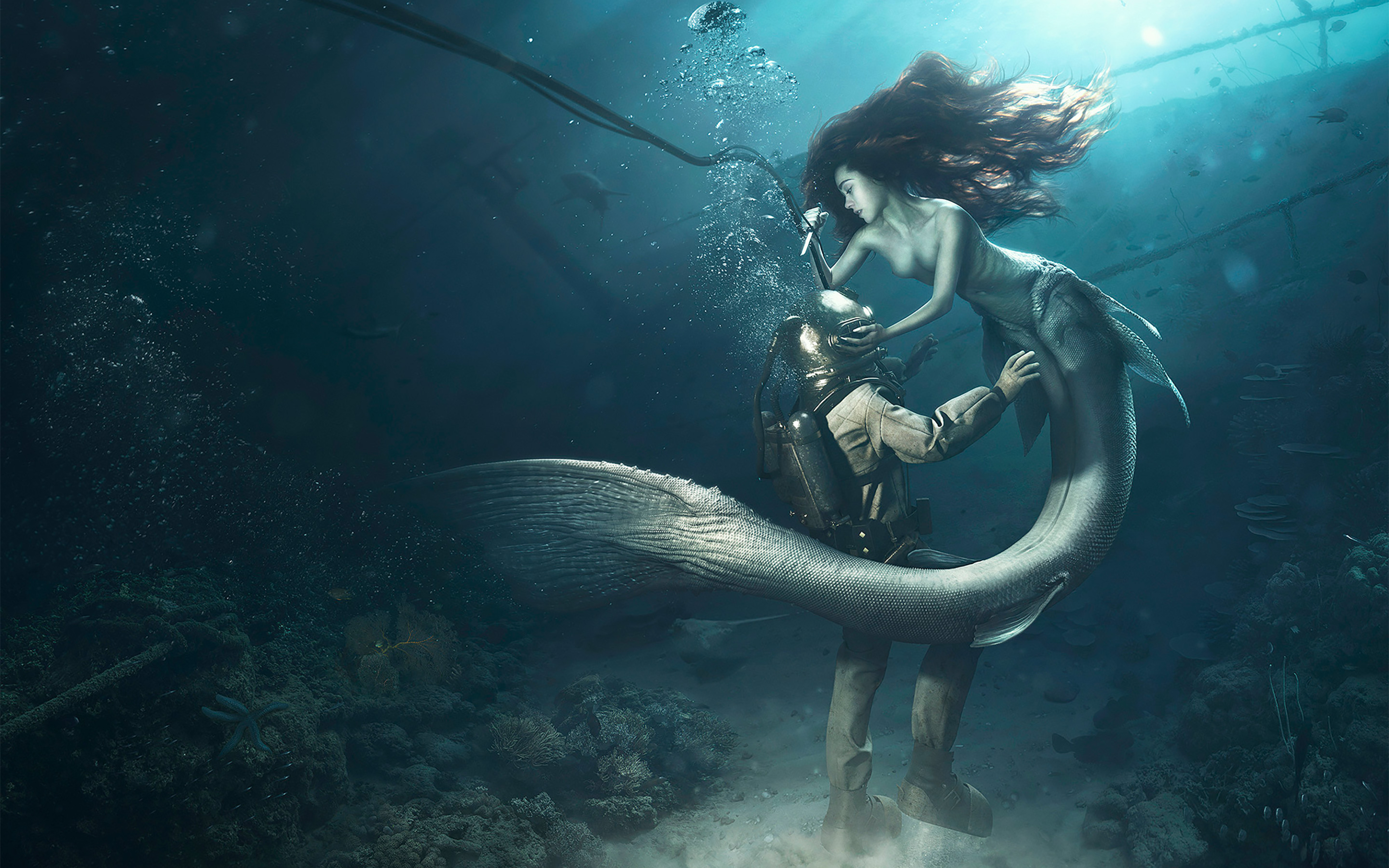 Diver the Mermaid Wallpapers | Wallpapers HD2880 x 1800